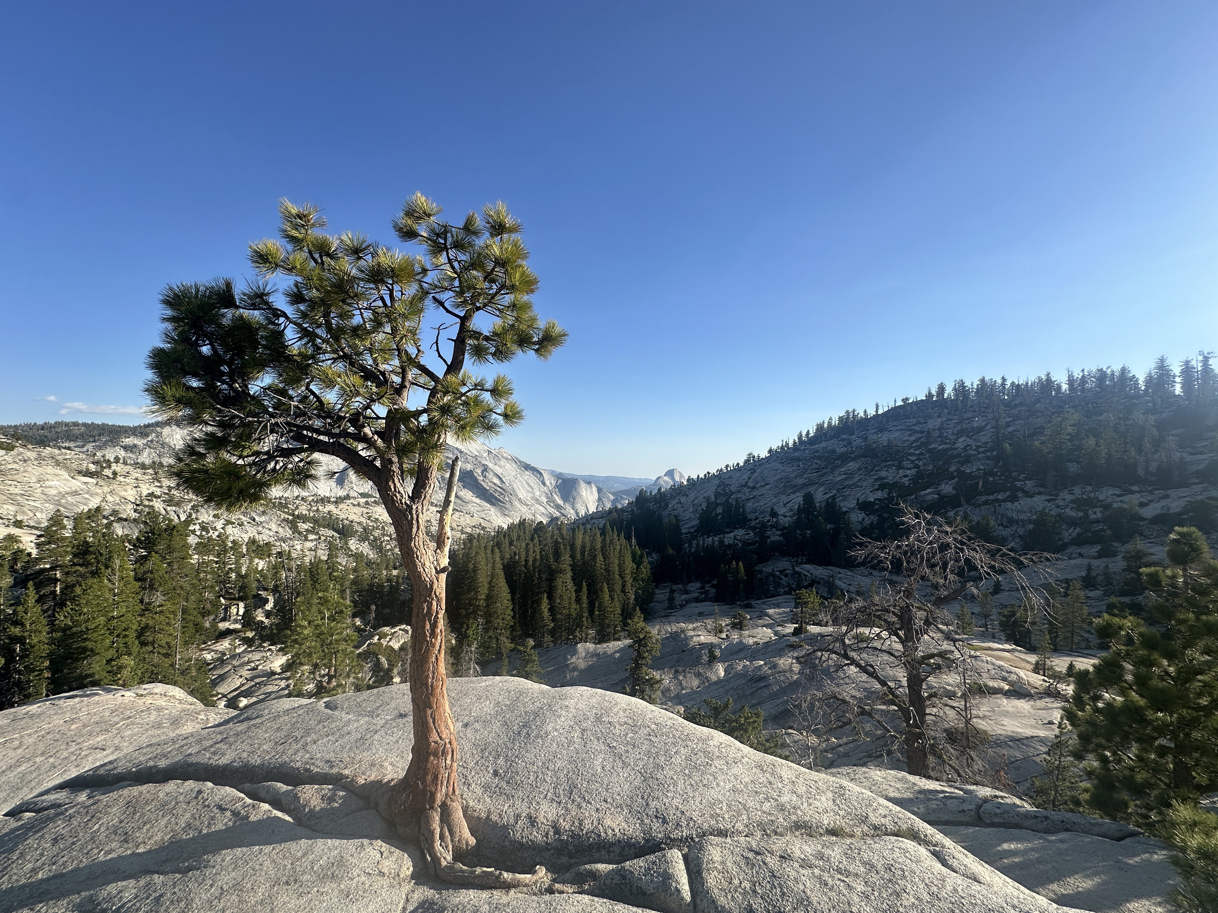 2025 gallery photo 7